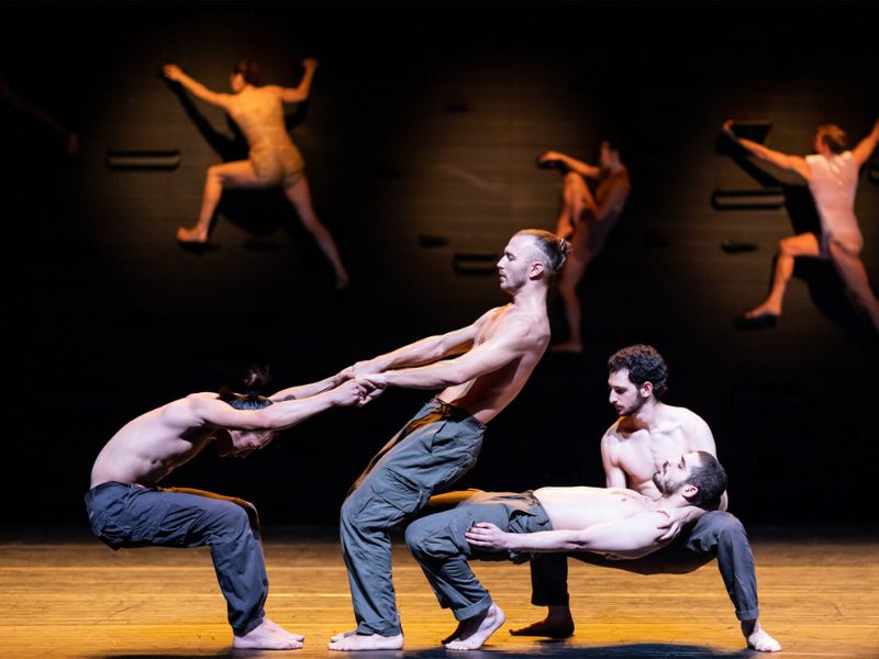 Batsheva Dance Company